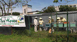 Attivit� cinofile alla Bau-House...