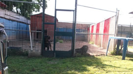 Pensione e ostello diurno per cani Bau-House