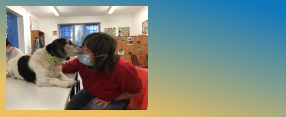 Slide Image 4