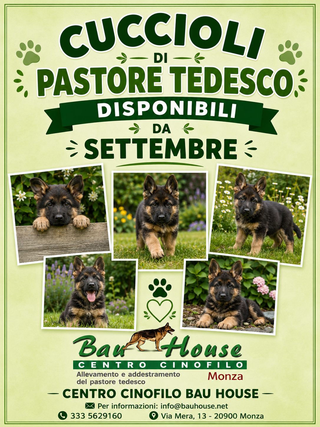 Bauhouse Monza - vendita cuccioli pastore tedesco