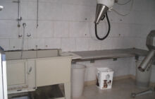 Servizi di toelettatura e bagno Bau-House